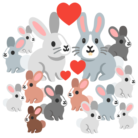 Bunny Family